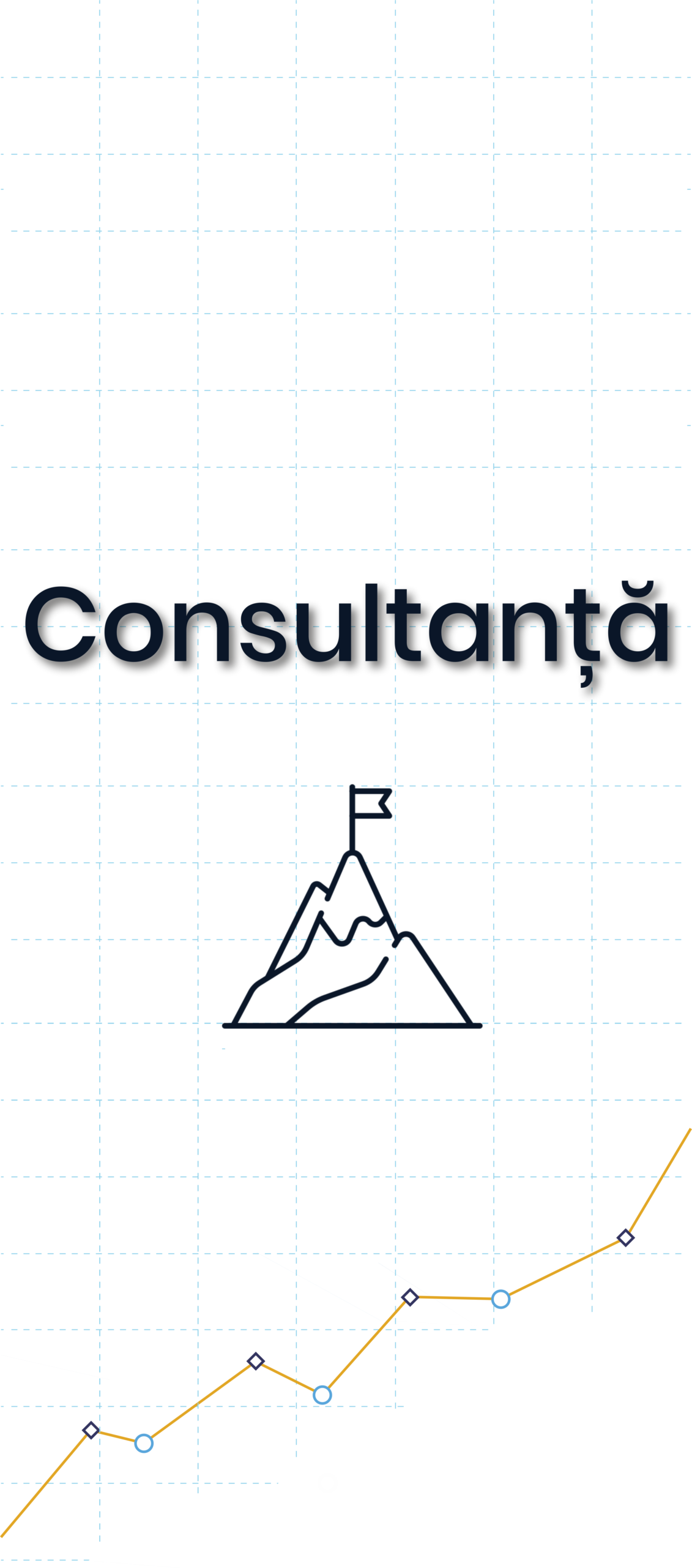 de ce - consultanta 1